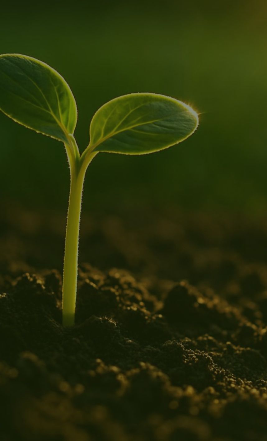 就労継続支援A型事業所